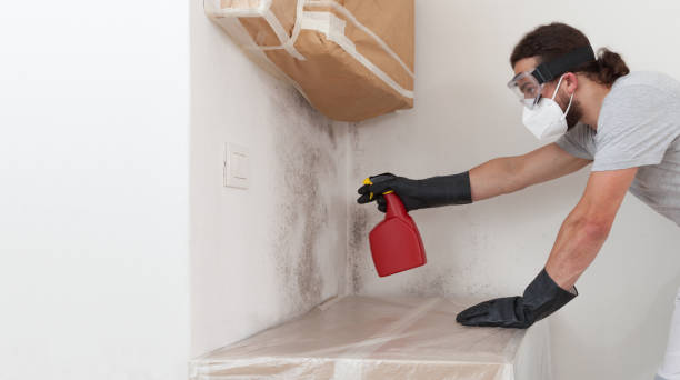 Professional Black Mold Remediation technician working in Warren, OR