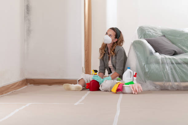 Reliable Black Mold Remediation contractor in Warren, OR by 24 Hour Mold Removal