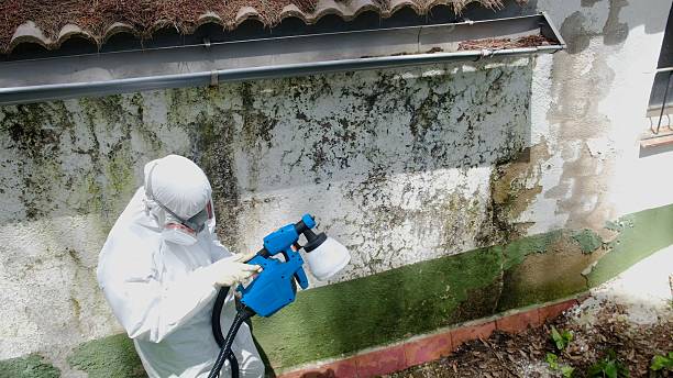 Top rated local Black Mold Remediation specialists in Warren, OR